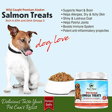 Paws of Kerry Omega 3 for Dogs | Fish Oil for Dogs Skin & Coat | Shedding, Dry, Itchy Skin Relief | Dog Skin Allergy Supplements for Joint, Immunity & Brain |EPA & DHA 120Chews