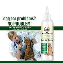 Dog & Cat Ear Infection Treatment